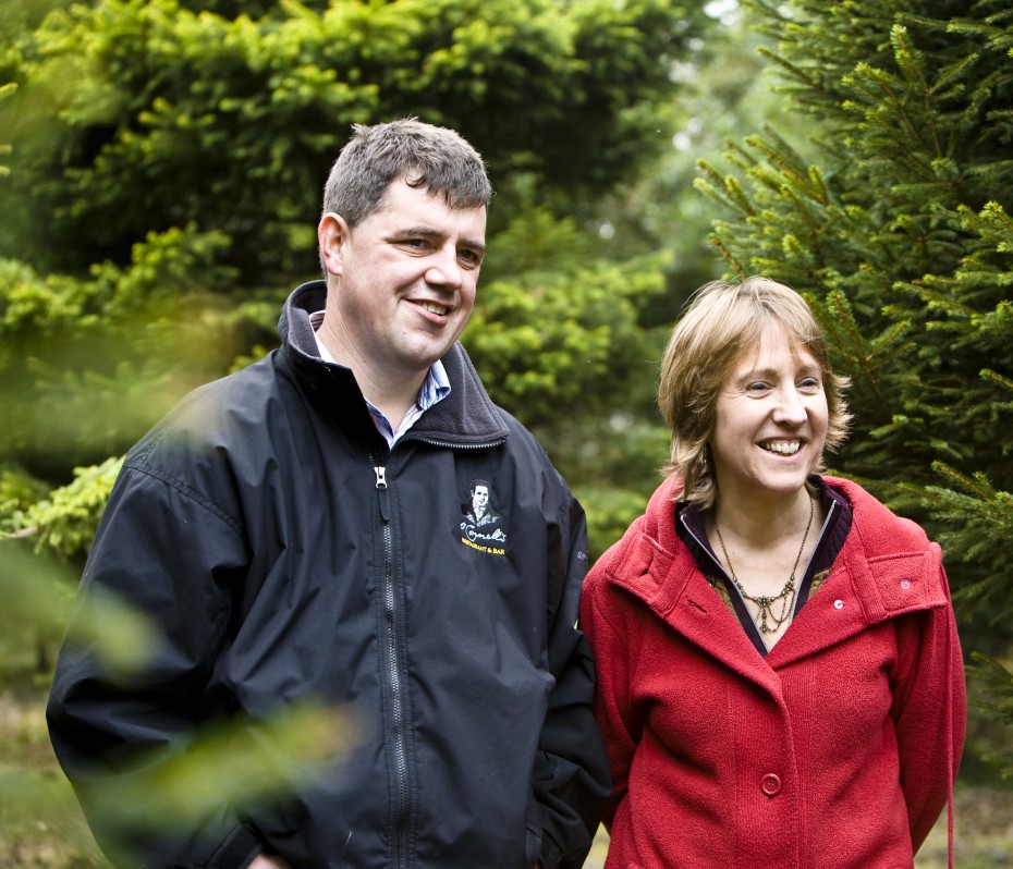 About Meadow Lane Christmas Trees Farm Galway, Ireland