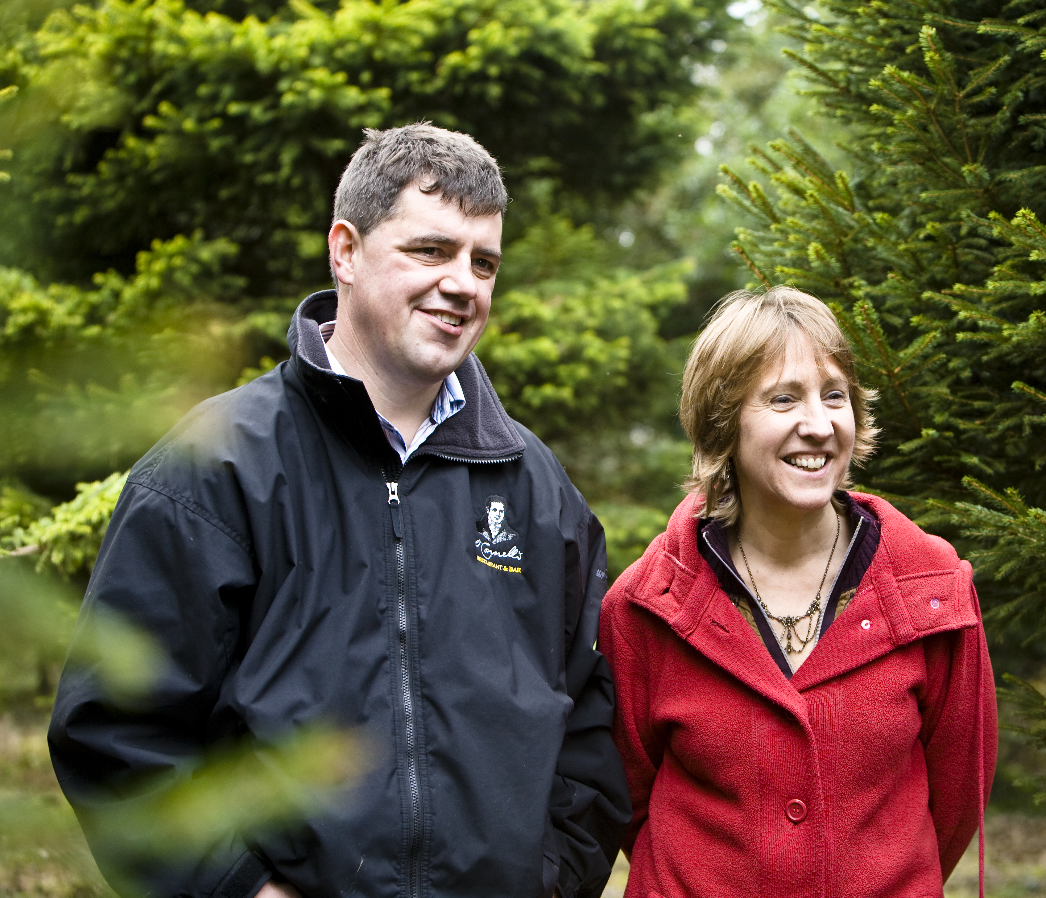 About Meadow Lane Christmas Trees Farm Galway, Ireland
