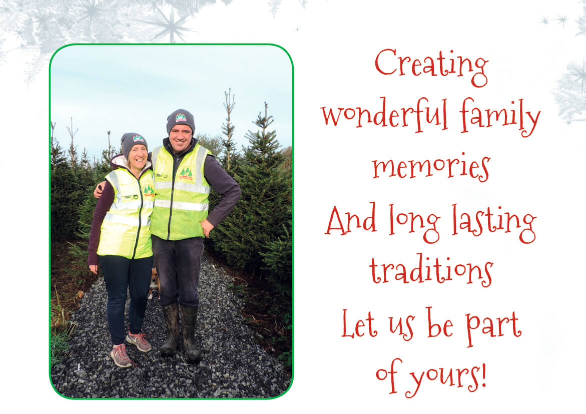 About Meadow Lane Christmas Trees Farm Galway, Ireland