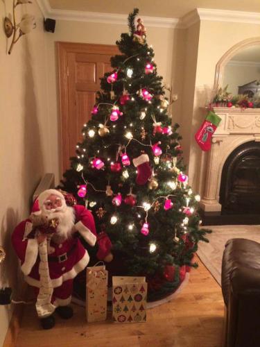 Bridie Choillimins tree