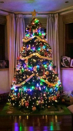 Gannon Family Tree