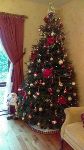Martha Maddens tree