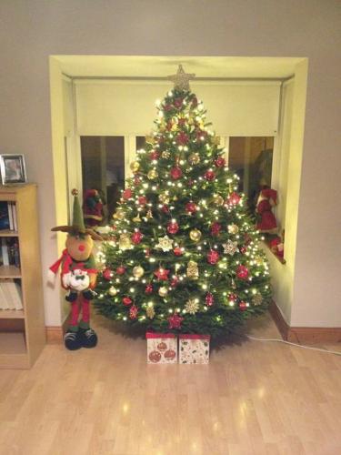 The Corrigans Tree