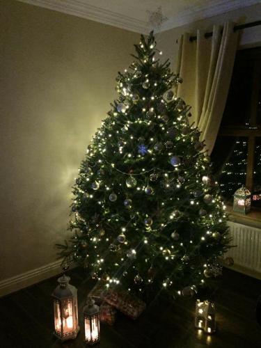 The Fahy Tree