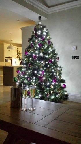 The Keady Tree