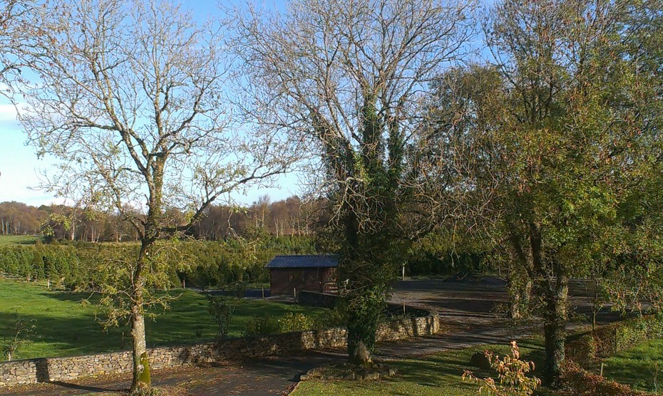 Our Meadow Lane Farm