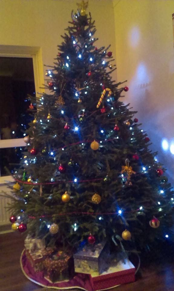 decorated Christmas tree from Meadow Lane Christmas Tree Farm Galway