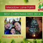 2014 Duggans tree certificante