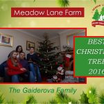 2016 Guiderova tree certificante