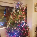 2018 trees decorated 21