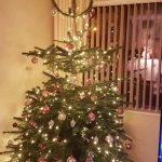 2018 trees decorated 25